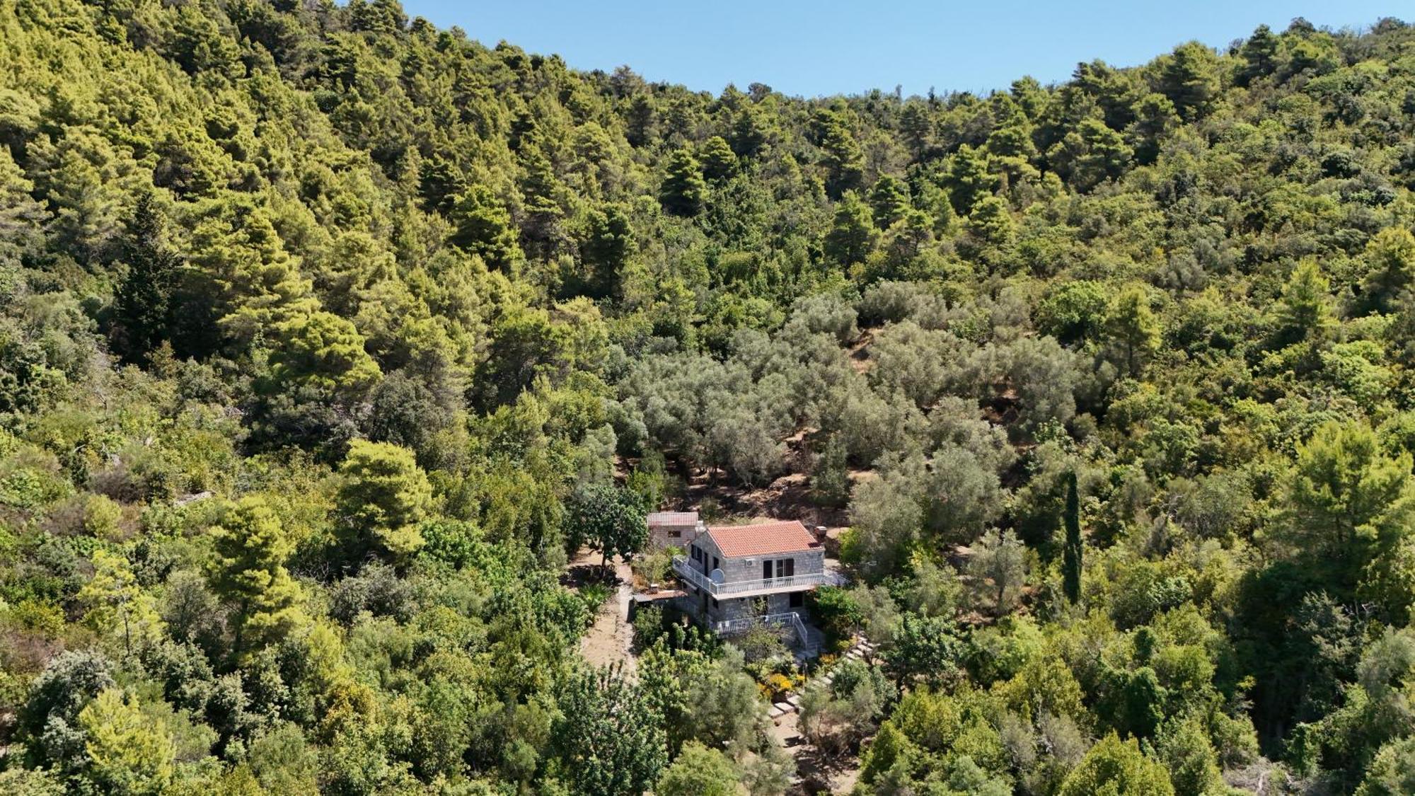 Apartment Kod Jadranke Sipanska Luka  Bagian luar foto