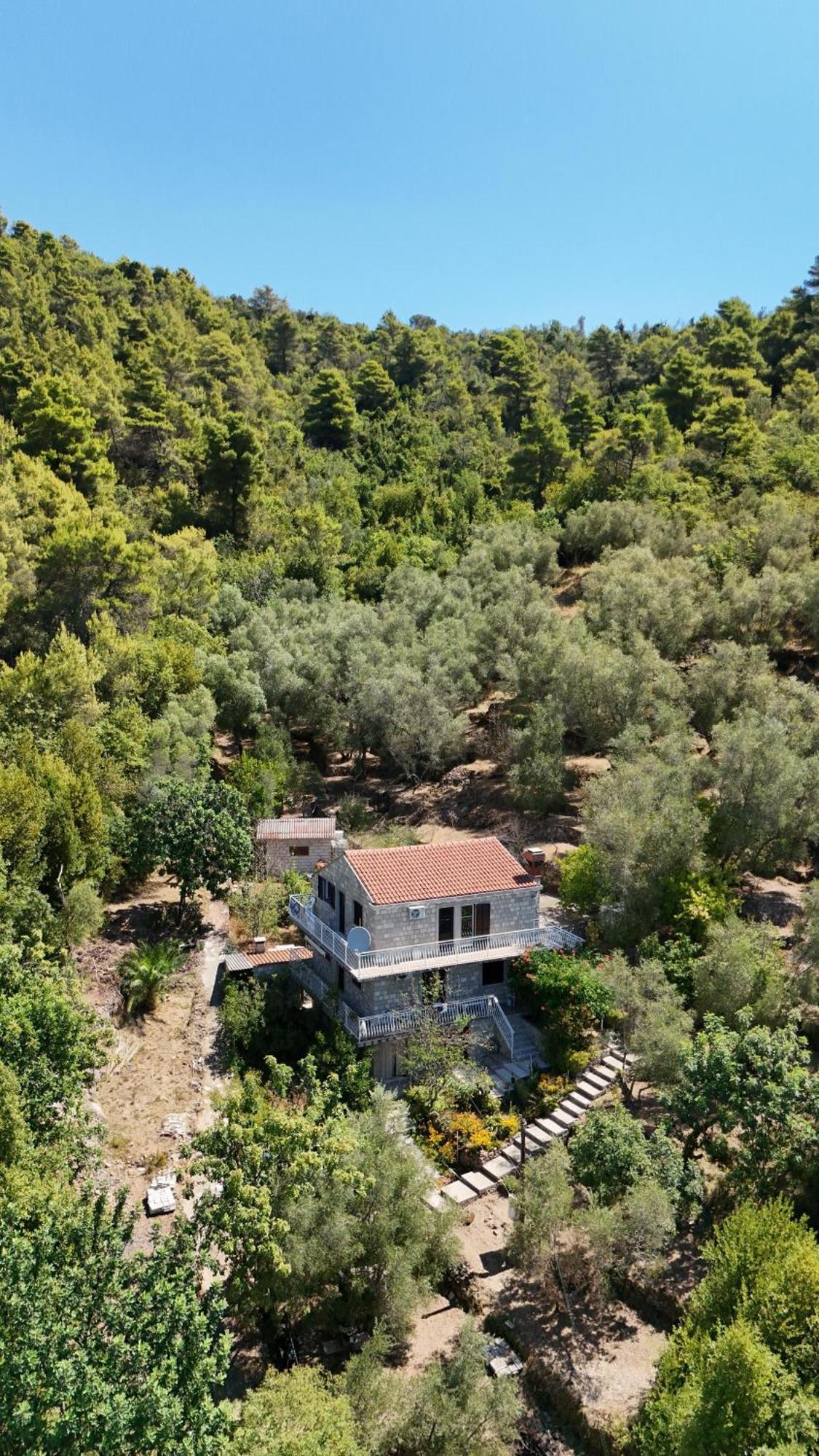 Apartment Kod Jadranke Sipanska Luka  Bagian luar foto