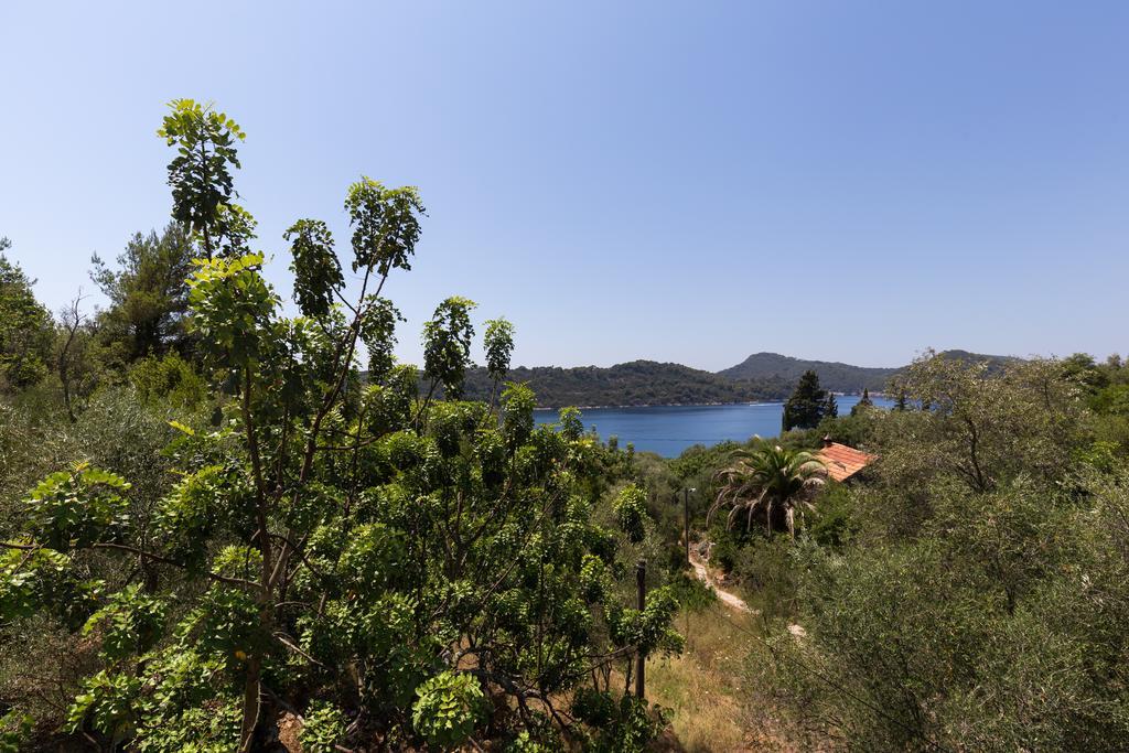 Apartment Kod Jadranke Sipanska Luka  Bagian luar foto